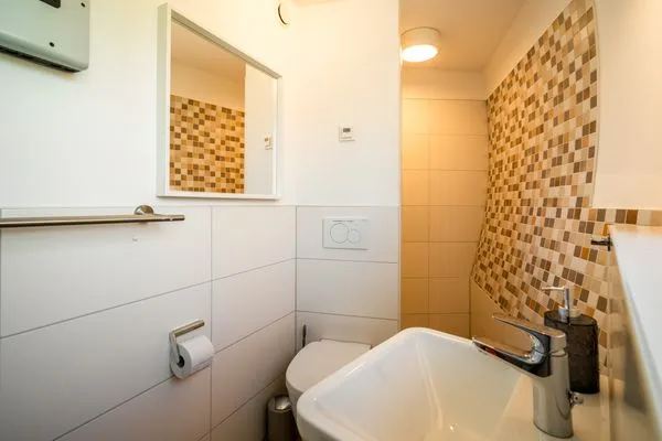 Ferienhaus Tamika am Tollensesee - Gäste-WC mit Dusche  Tamika