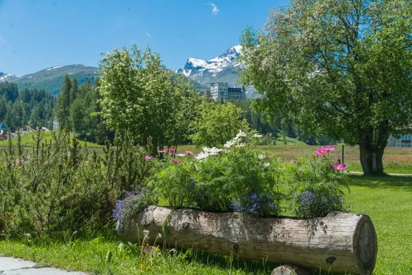 Gartenblick  Chesa Flur Sulagl 1