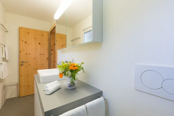 Badezimmer  Chesa Lagrev 1