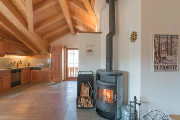 Kamin-/Ofen  Trais Fluors C3