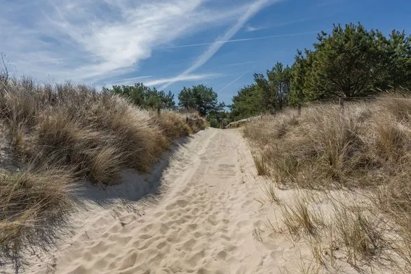 Strand  Ferienwohunung Dünenwald