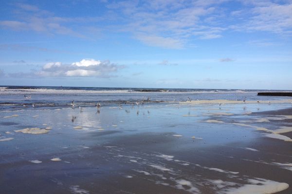  Ferienwohnung Majerts Dünengold Norderney - Strand