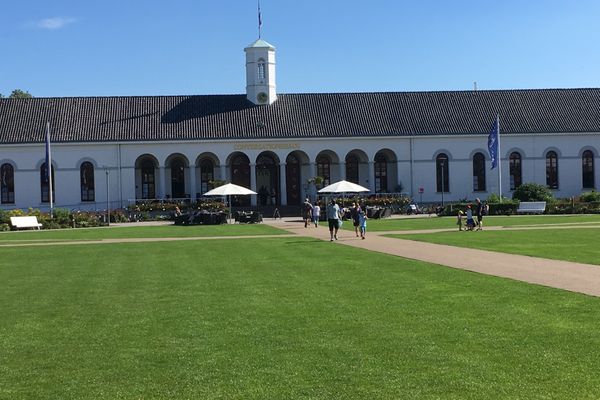  Ferienwohnung Majerts Dünengold Norderney - Landschaft