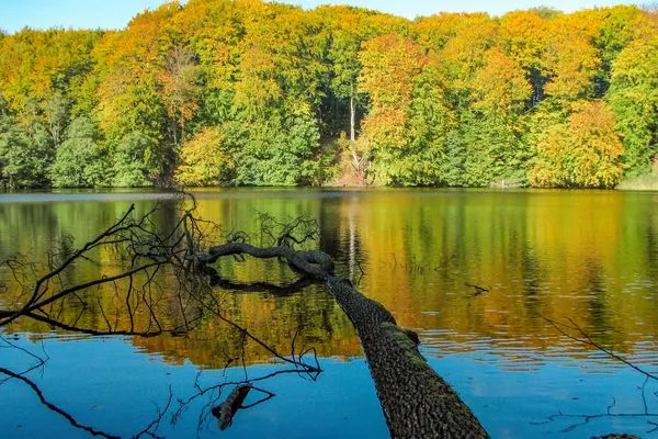 Landschaft  FeWo Ostseeglück im Jasmund-Paradies mit Terrasse und haustierfreundlich