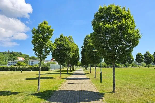 Nachbarschaft  Ferienwohnung Seehund für Ostsee-Urlaub mit Hund in ländlicher Lage auf Rügen