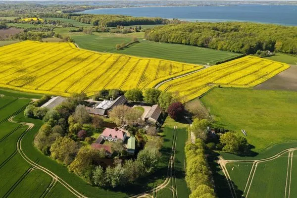 Klüterkammer am Meer - in Rapsblüte  Klüterkammer