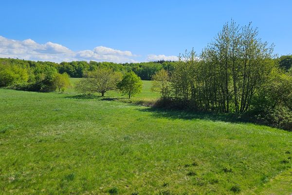 Wohnanlage "Am Grün" Sonnenherz Wittenbeck - 