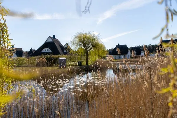 Gartenblick  Ferienhaus Seeadler 65