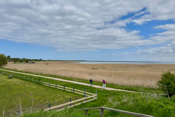  Käpitänshaus zum Plümper Ostseebad Ahrenshoop - 