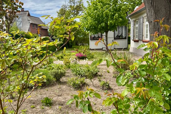  Käpitänshaus zum Plümper Ostseebad Ahrenshoop - 