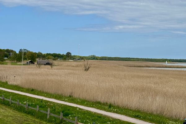  Käpitänshaus zum Plümper Ostseebad Ahrenshoop - 