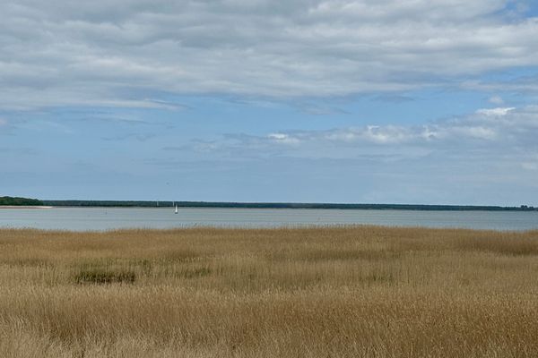  Käpitänshaus zum Plümper Ostseebad Ahrenshoop - 