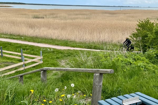  Käpitänshaus zum Plümper Ostseebad Ahrenshoop - 