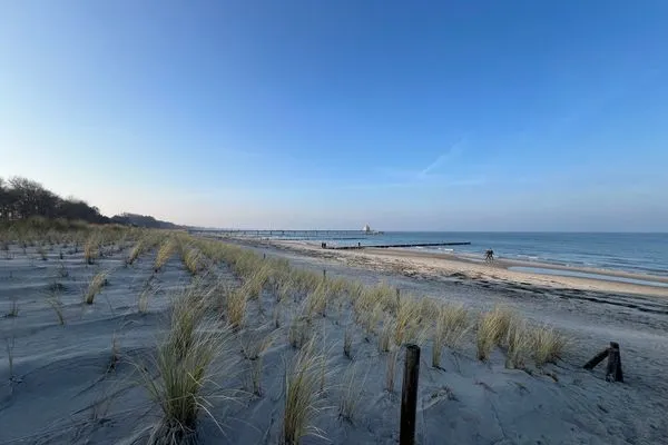   Strandläufer