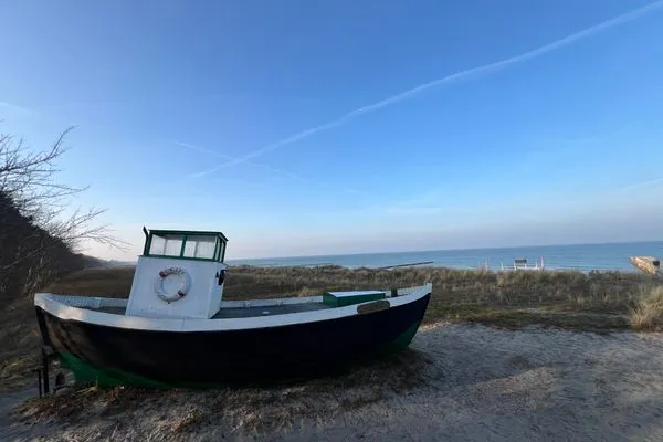   Windflüchter