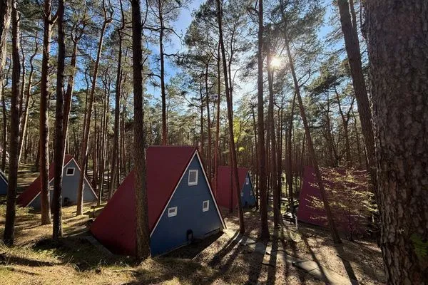   Gemütliche Finnhütte für Erholung und romantische Waldspaziergänge - Ja