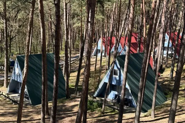   Naturerlebnis direkt vor der Tür – gemütliche Finnhütte am Waldrand - Ida