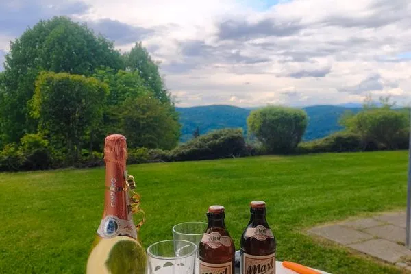 Terrasse Ferienland Sonnenwald Appartement Waldsonne