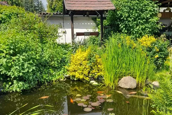   Ferienhaus im Spreewald