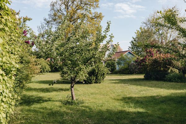  Glück.Schmiede Wustrow Wustrow - Garten