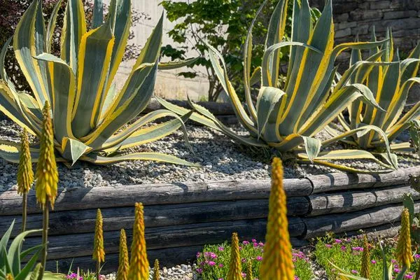 Garten  Case Rustico Moderne