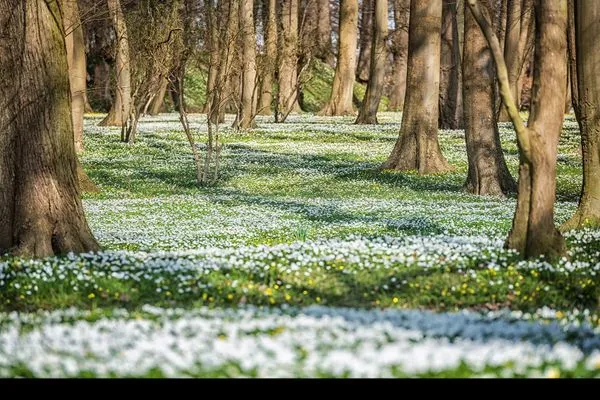 Landschaft  Lillesol