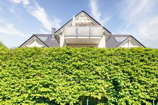 Aussenansicht Balkonseite Neue Reihe Neue Reihe 28 - Wohnung Vogelnest