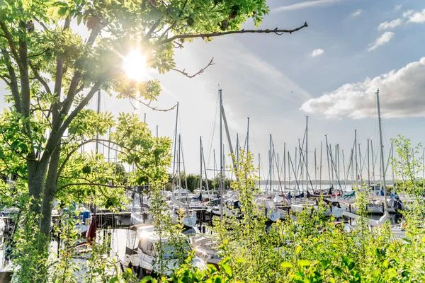 Segelhafen in Schausende ca. 2 km entfernt  Lille Hus