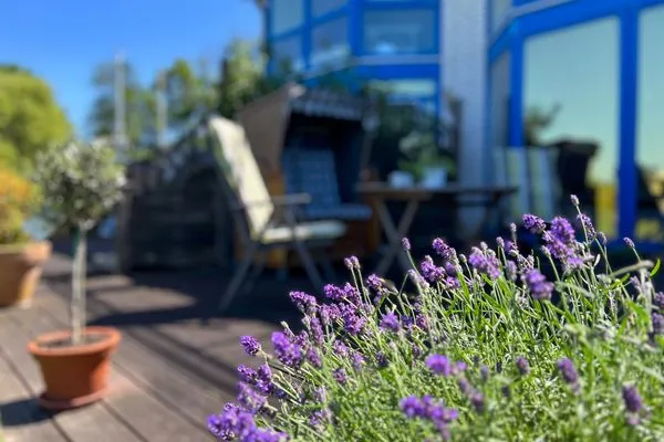 Terrasse  Ferienwohnung Hygge am Fjord