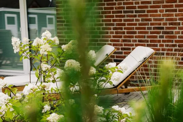 Terrasse  de See - Suite 1 | Direkte Deichlage