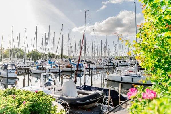 Segelhafen in Schausende ca. 2 km entfernt  Immi's Hus - Ferienhaus am Ostseestrand