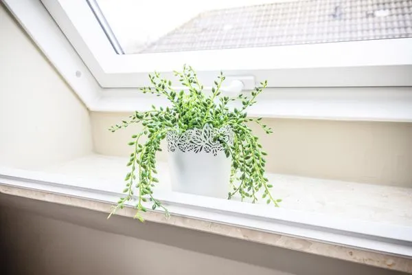 Dekoratives Detail  Suite Deichherz | Deichblick