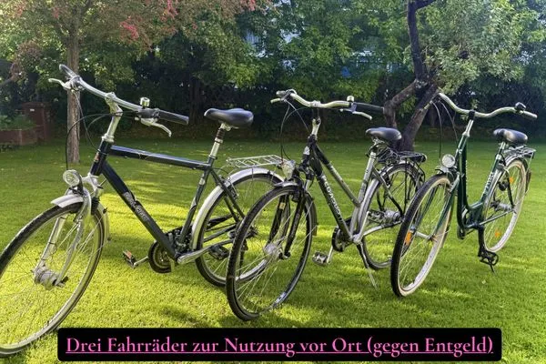 Sport / Aktivitäten  Ferienwohnung Kleiner Seelöwe