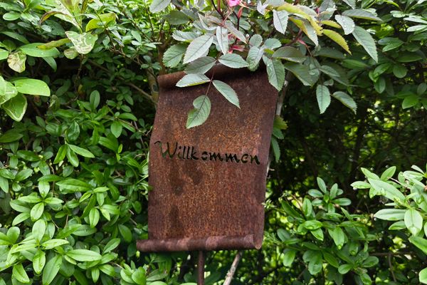 BIRKENHOF Haus 02, App. 65 "Dünennest" Ostseebad Wustrow - 