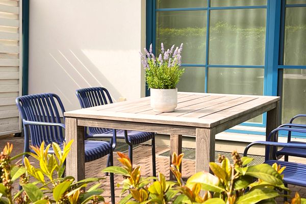 Boddenquartett - Albatros Wieck - Terrasse