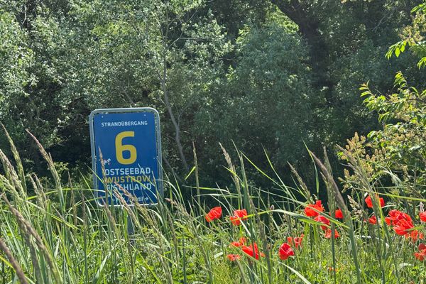 ALTE SEEFAHRTSCHULE App. 07 "Lütt Fiete" Ostseebad Wustrow - 