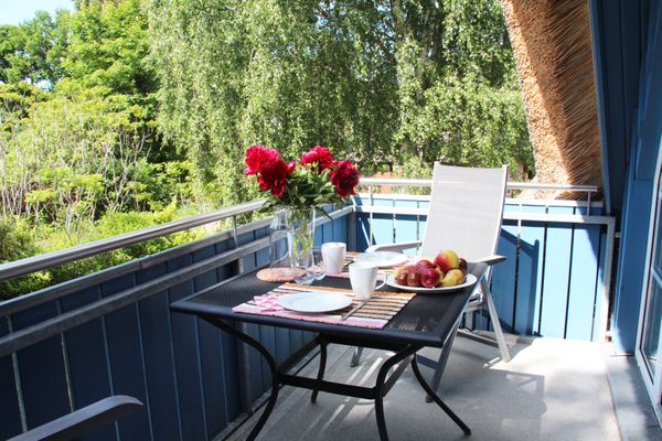  Seeschwalbe Wieck - Balkon
