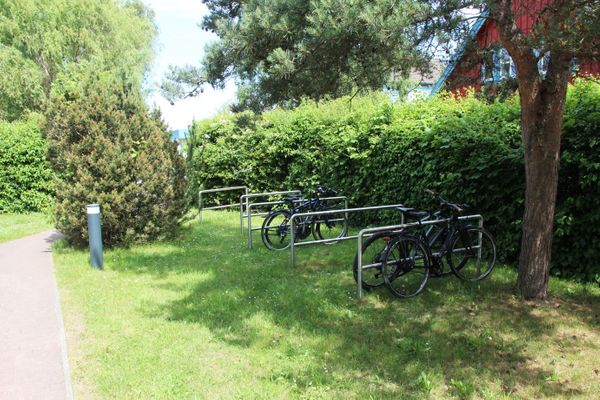  Seeschwalbe Wieck - Gartenblick