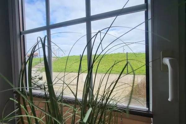 Gartenblick  Wohnung Deichkoje