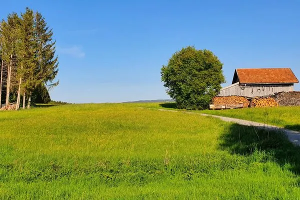 Landschaft Feriendorf Hochbergle Haus 135