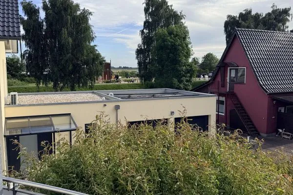 Meerblick  Hühnergott