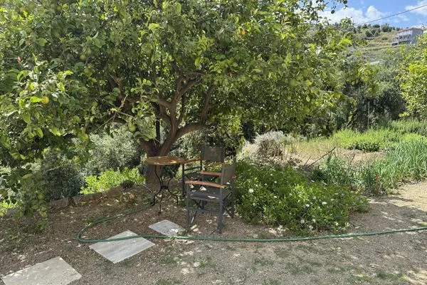 Garden  Konstantinos