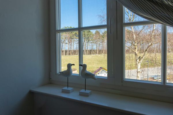  Windflüchter Zingst - 