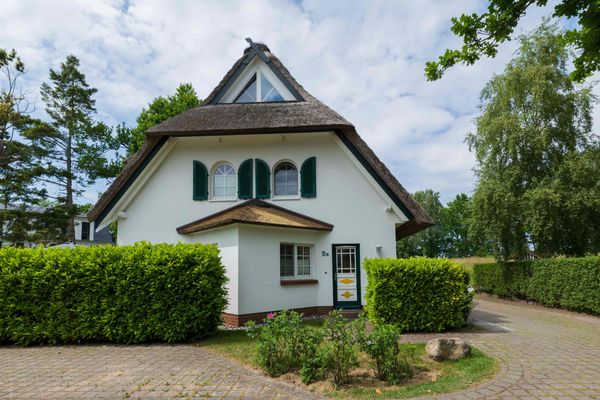  Windflüchter Zingst - 