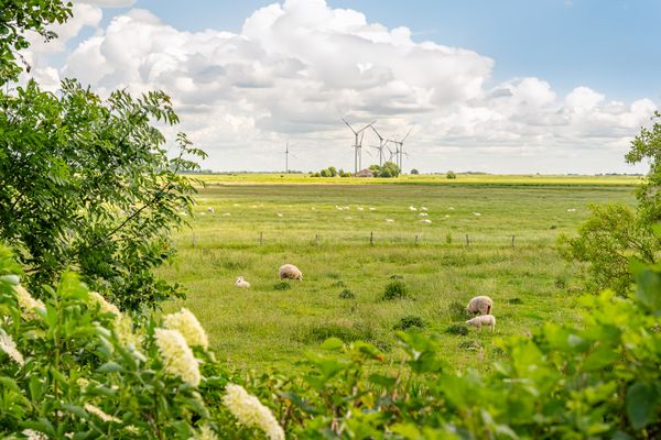Ferienhaus Linas Huis in Galmsbüll – Bild 2 von 5