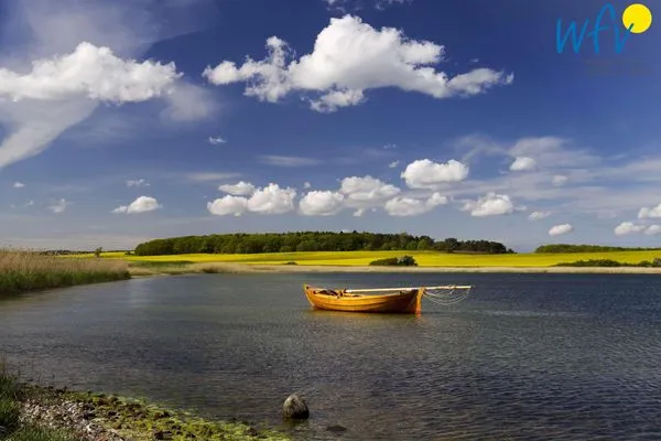 Boddenlandschaft bei Neu Reddevitz Ferienappartements Am Neuensiener See Ferienwohnung 7