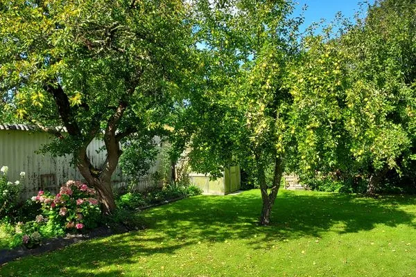 Garten  Ferienhaus Schmitt
