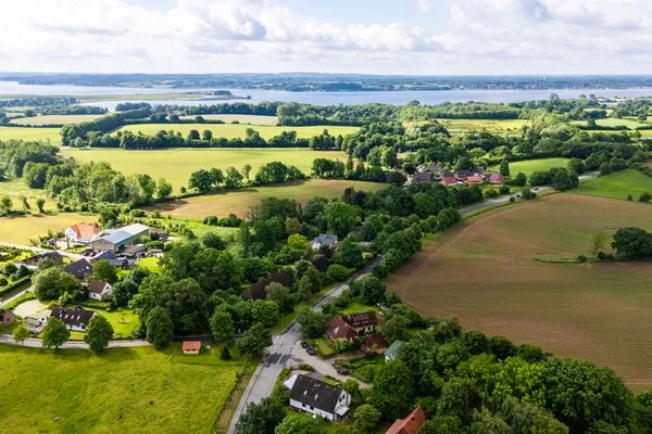   Wild Wilderness