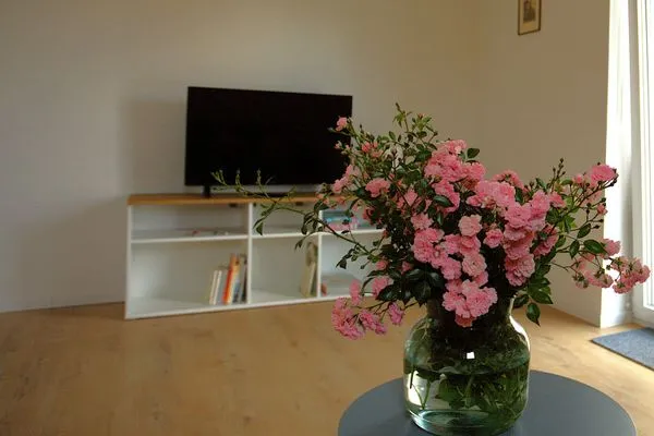 Wohnzimmer  Schwalbe