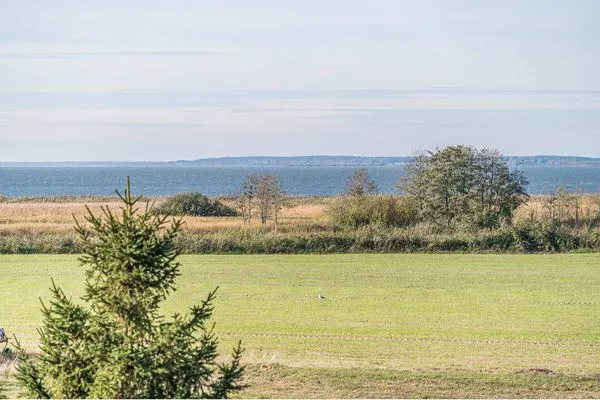 Gartenblick Ostseeglück App. Mittagsonne